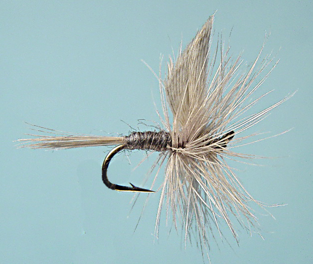 Lot De 12 Anciennes Mouches Sèches - Hackles Marron - Pêche à La Mouche - Neuves